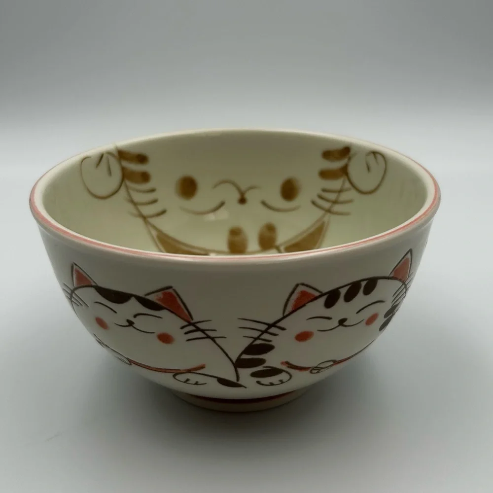 Kafuh Mino Ware Japanese Ceramic Ramen Rice Bowl 5